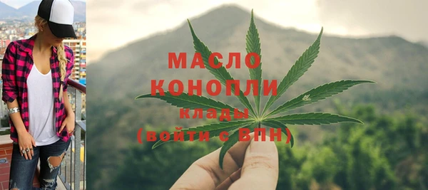 мдпв Верхний Тагил