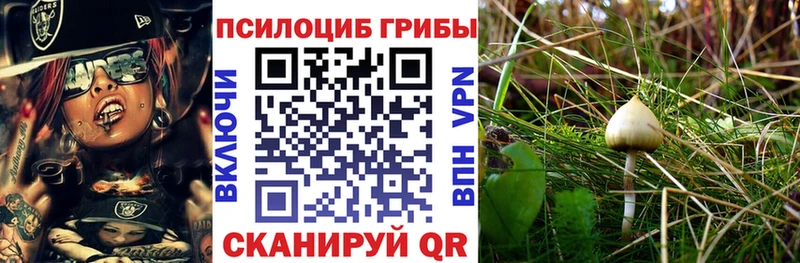 Псилоцибиновые грибы мухоморы Видное